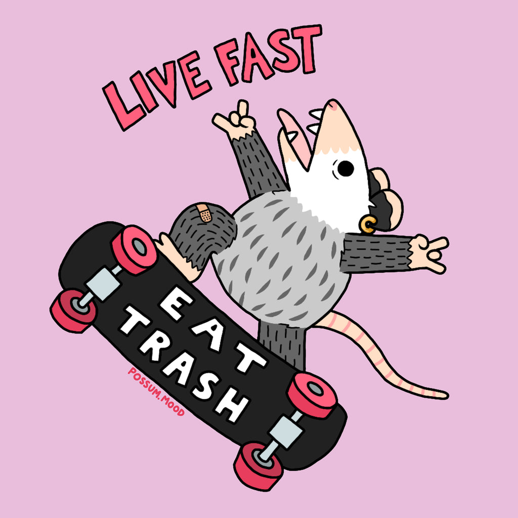 Possum Mood: Live Fast Eat Trash Tee- Pink