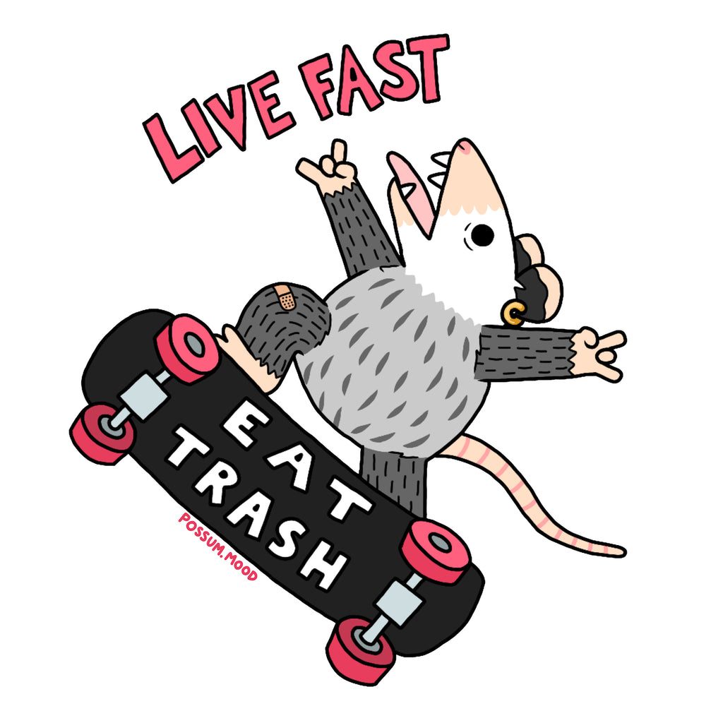 Possum Mood: Live Fast Eat Trash Tee- White