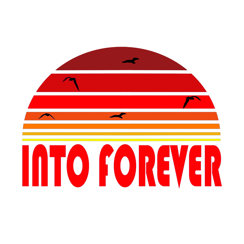 Into Forever- Sunset With Seagulls Adult Tee White
